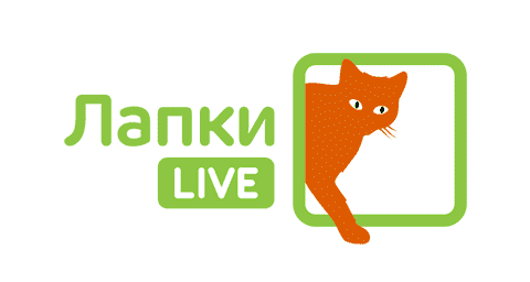 Телеканал Лапки LIVE